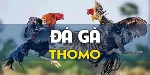 da ga thomo 2 4