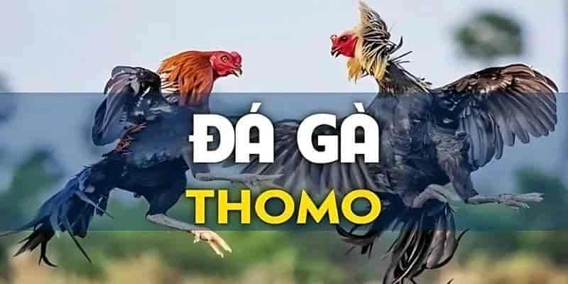 da ga thomo 2 5
